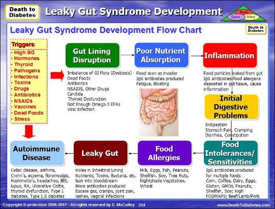 Leaky-Gut-Syndrome-Development-Flow-Chart-Death-to-Diabetes.jpg.opt537x409o0,0s537x409
